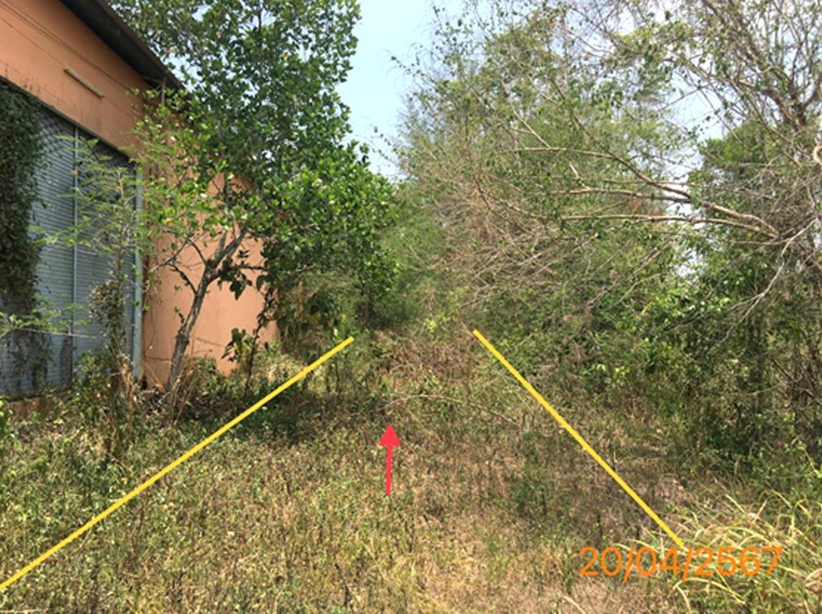 picture LAND 663 Sq.w. Khlong Thom Krabi for 2.9M - 11/20