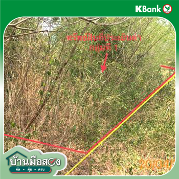 picture LAND 663 Sq.w. Khlong Thom Krabi for 2.9M - 18/20