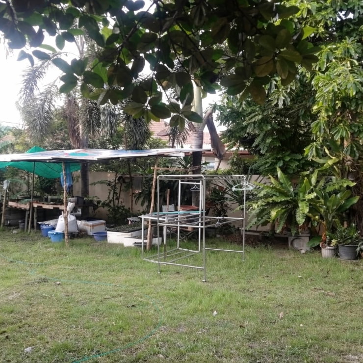 picture Single-Storey House for Sale – Prime Location in Sriracha - 7/7