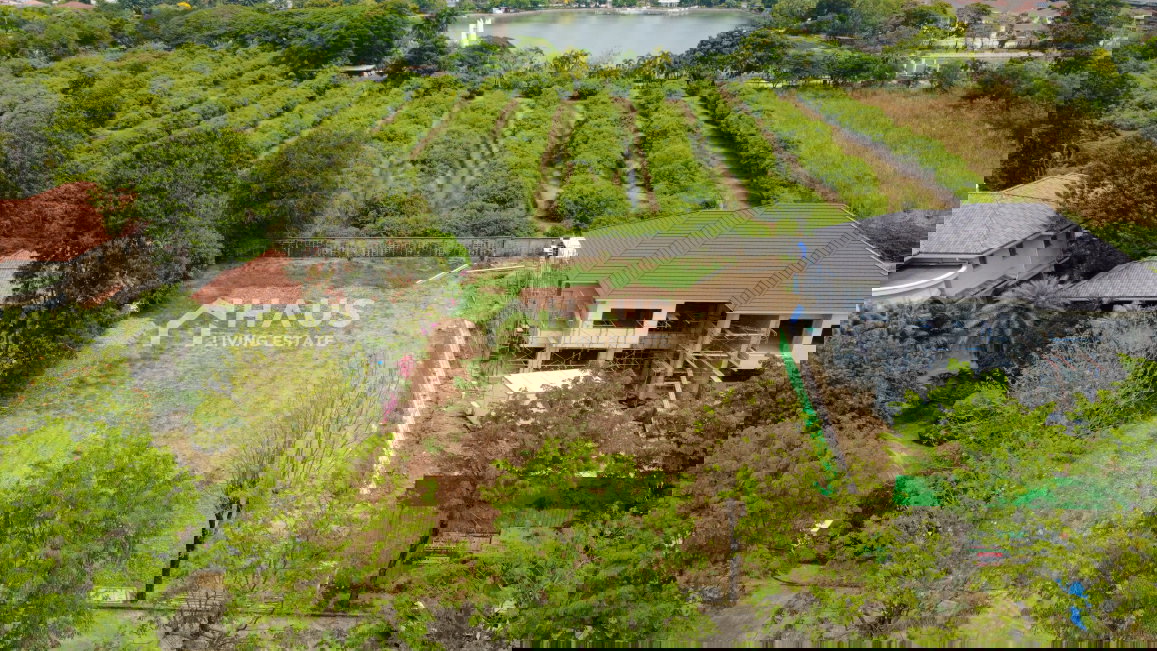 picture Land Karuehaad Tayard / 372.6 SQ.WA #LPKD045 - 3/20