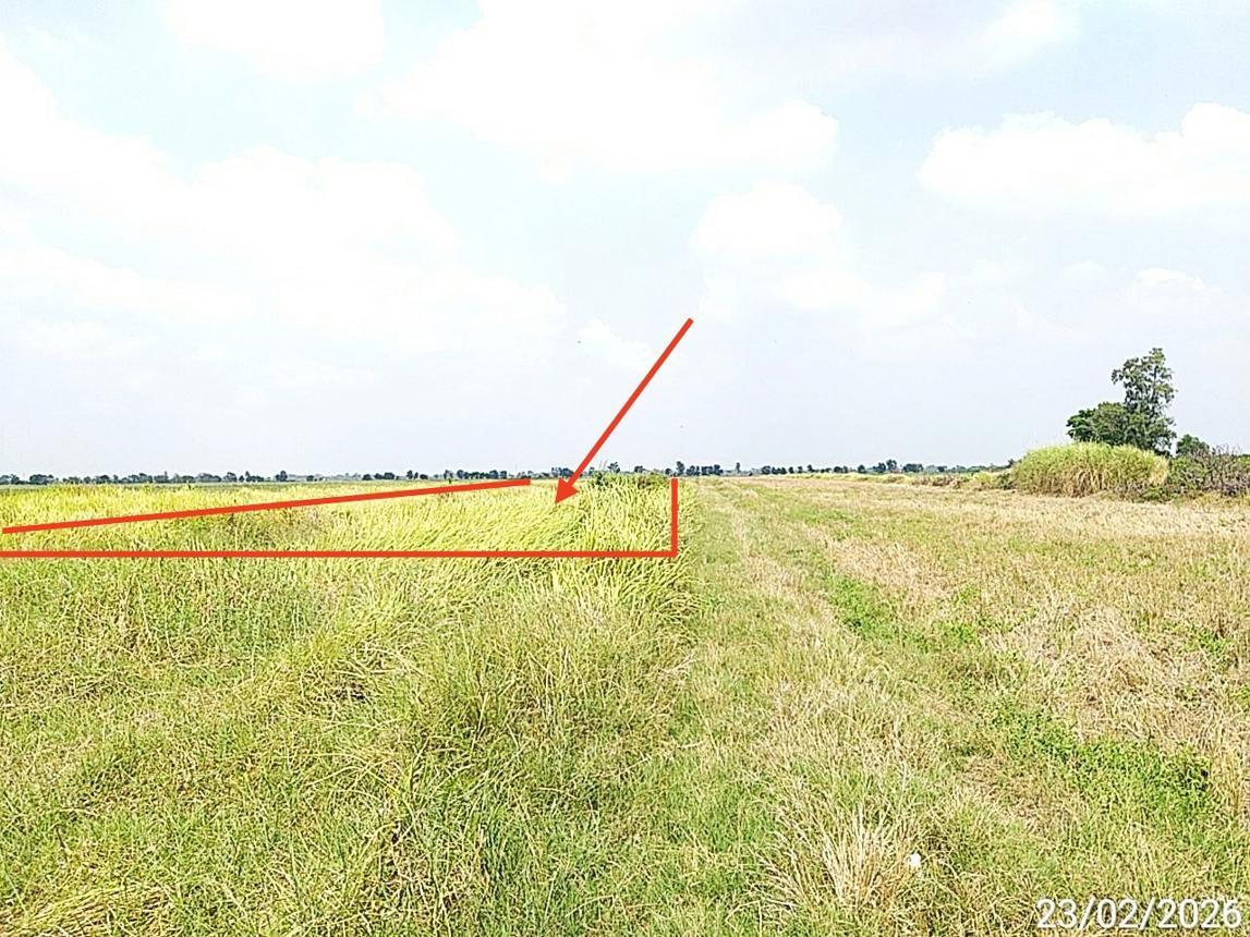 picture LAND 2000 Sq.w. Bang Nam Prieo Chachoengsao for 2M - 8/14