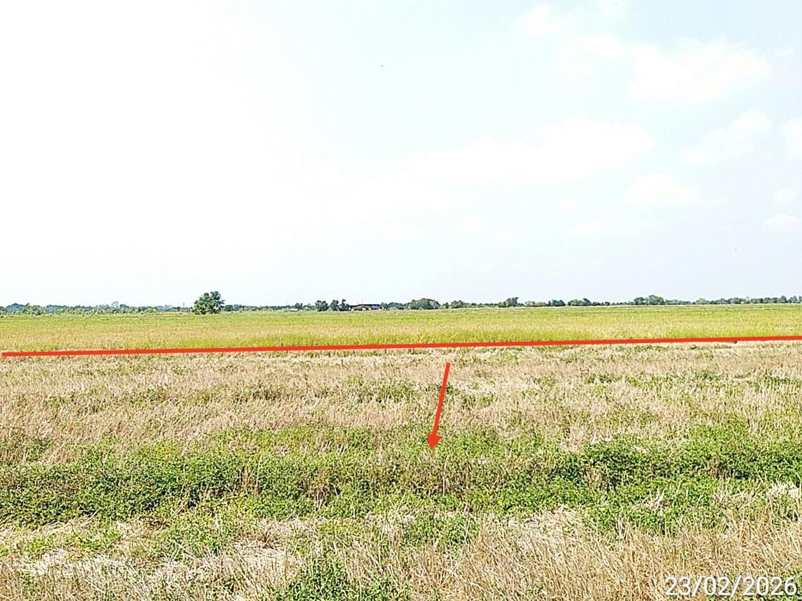 picture LAND 2000 Sq.w. Bang Nam Prieo Chachoengsao for 2M - 10/14