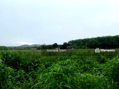 Land for sale : Land for sale, Khao Saming District, Trat Province,
