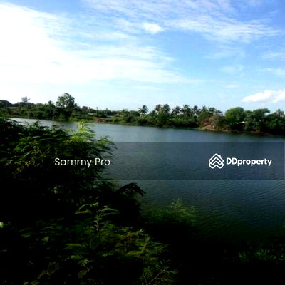 ที่ดิน กำแพงแสน นครปฐม : ขายที่ดินเปล่า  (ห้วยหมอนทอง) อ.กำแพงแสน จ.นครปฐม