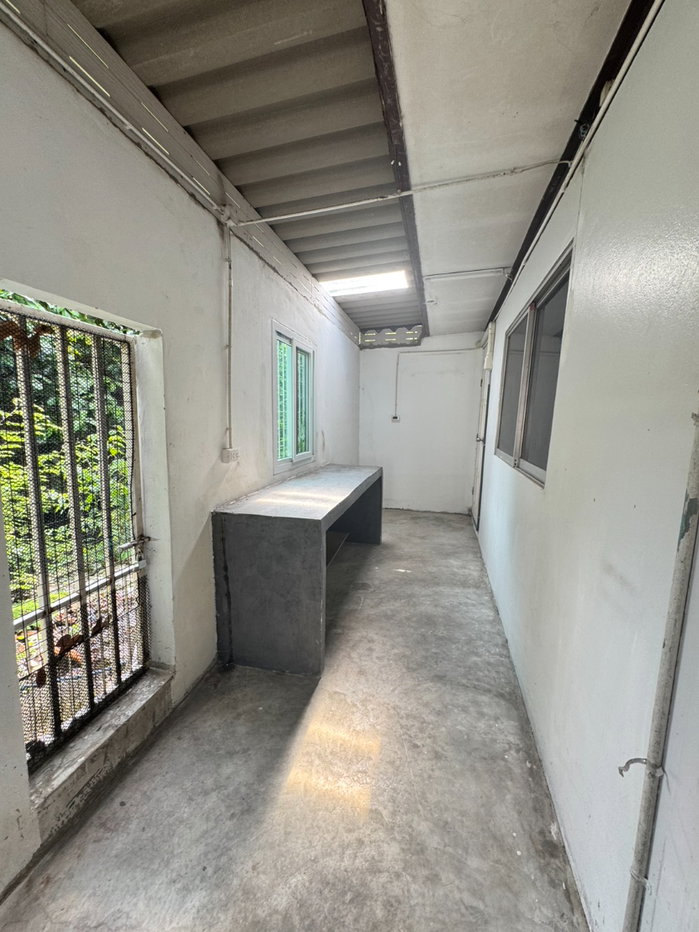 รูป (Owner Post) ขายบ้านเดี่ยว Airport link หัวหมาก  รีโนเวทใหม่ 83 วาหลังติดคลอง - รูปที่ 10/14