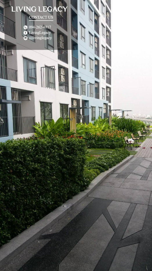 รูป TCP8G4 ให้เช่าคอนโด Rich Park @ Triple Station 28.66 ตร.ม. ชั้น 14 line id : @livinglegacy - รูปที่ 5/6