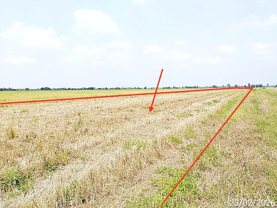 picture LAND 2000 Sq.w. Bang Nam Prieo Chachoengsao for 2M - 9/14