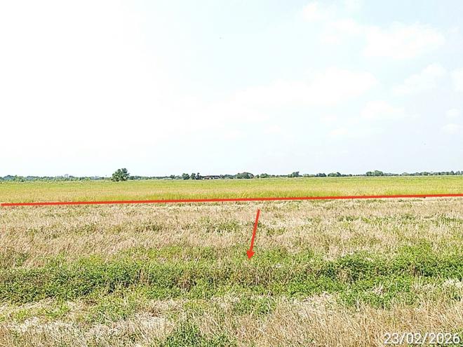 picture LAND 2000 Sq.w. Bang Nam Prieo Chachoengsao for 2M - 5/14