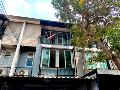 Townhouses for rent Sripatum University : For Rent Townhouse/Townhome  , Areeya Daily Kaset-Nawamin , Chorakhe Bua , Lat Phrao , Bangkok , CX-150088 ✅ Live chat with us ADD LINE @connexproperty ✅