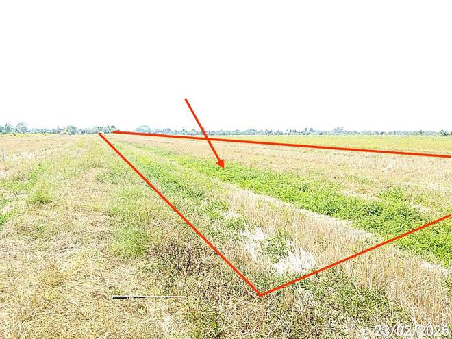 picture LAND 2000 Sq.w. Bang Nam Prieo Chachoengsao for 2M - 2/14