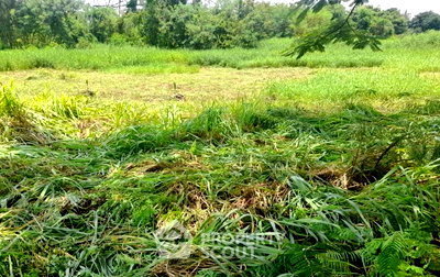 Land for sale Mahanakorn University Of Technology : 728 m² Land for Sale in Khok Faet (ID 2745922)