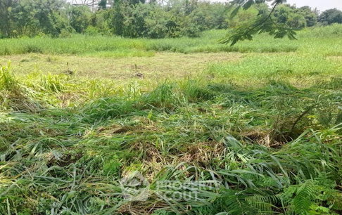 ที่ดินสำหรับปล่อยขาย 728 ตารางเมตร แถว ใน โคกแฝด (ID 2745922)