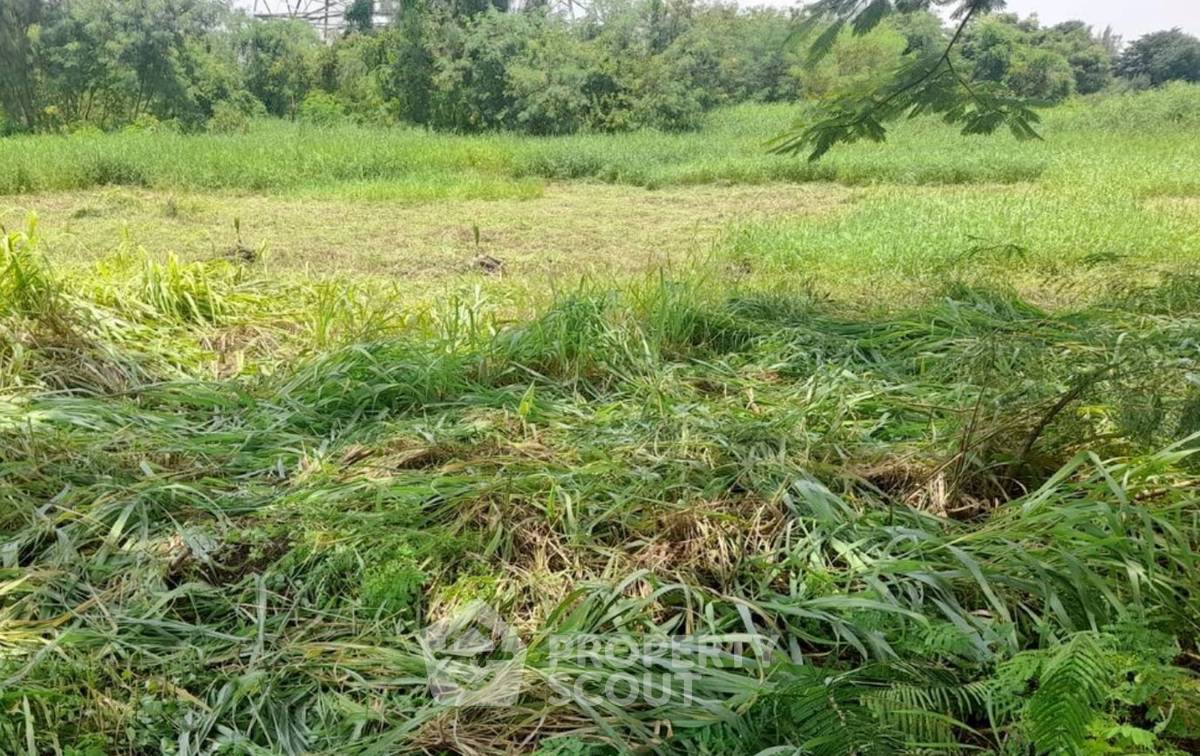 รูป ที่ดินสำหรับปล่อยขาย 728 ตารางเมตร แถว ใน โคกแฝด (ID 2745922) - รูปที่ 1/3