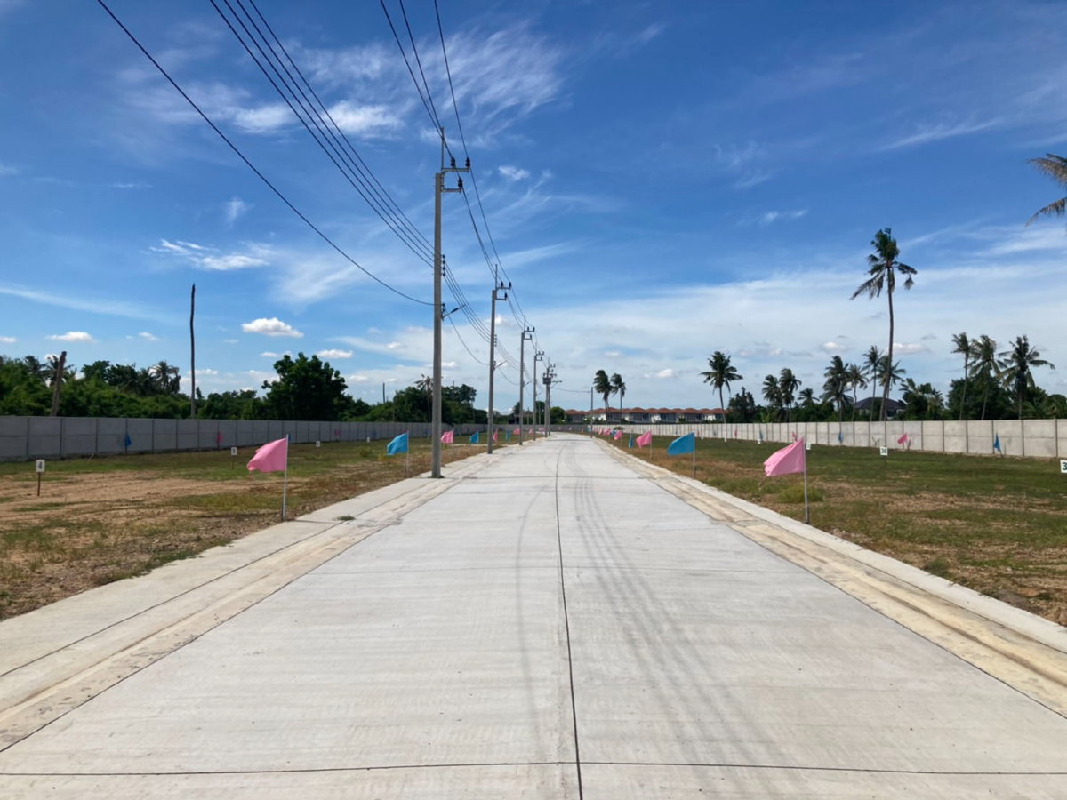 รูป เนเจอรัล วิลล์ ที่ดินจัดสรรเพื่อสร้างบ้านอยู่อาศัย - รูปที่ 2/4