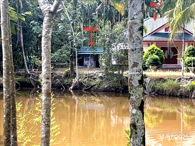 ขายบ้านเดี่ยว : บ้านเดี่ยว 1504 ตร.วา เมืองตราด ตราด 4.4M