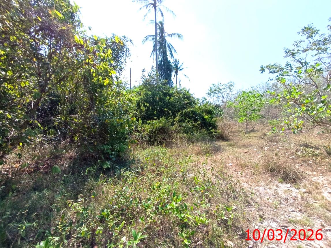 picture LAND 3554 Sq.w. Na Mom Songkhla for 4.6M - 16/22