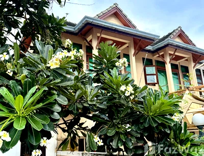 Townhouses for sale Ko Samui Surat Thani : 4 Bedroom Townhouse for sale in Bo Phut, Surat Thani  1959986