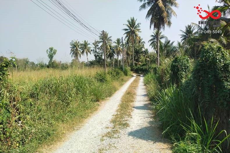 รูป ขายที่ดิน 2 ไร่ แปลงสวย 8 ตรว. ถนนจารุวร อำเภอพนัสนิคม ชลบุรี  - รูปที่ 4/6