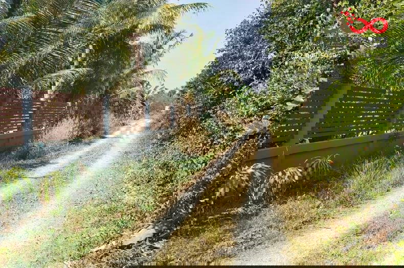 รูป ขายที่ดิน 2 ไร่ แปลงสวย 8 ตรว. ถนนจารุวร อำเภอพนัสนิคม ชลบุรี  - รูปที่ 3/6