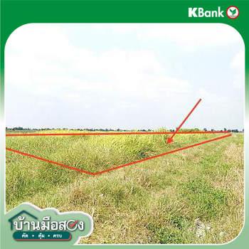 picture LAND 2000 Sq.w. Bang Nam Prieo Chachoengsao for 2M - 12/14