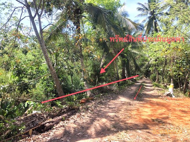 picture LAND 149.2 Sq.w. Muang Surat Thani Surat Thani for 746,000 - 4/14
