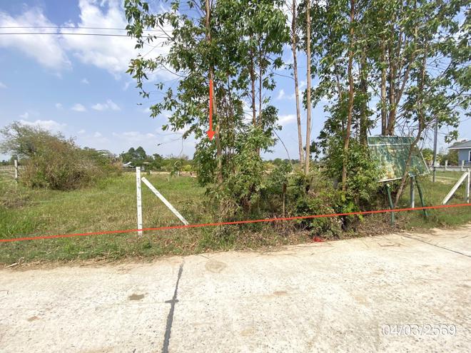 รูป ที่ดินว่างเปล่า 116 ตร.วา เมืองมหาสารคาม มหาสารคาม 406,000 - รูปที่ 3/16