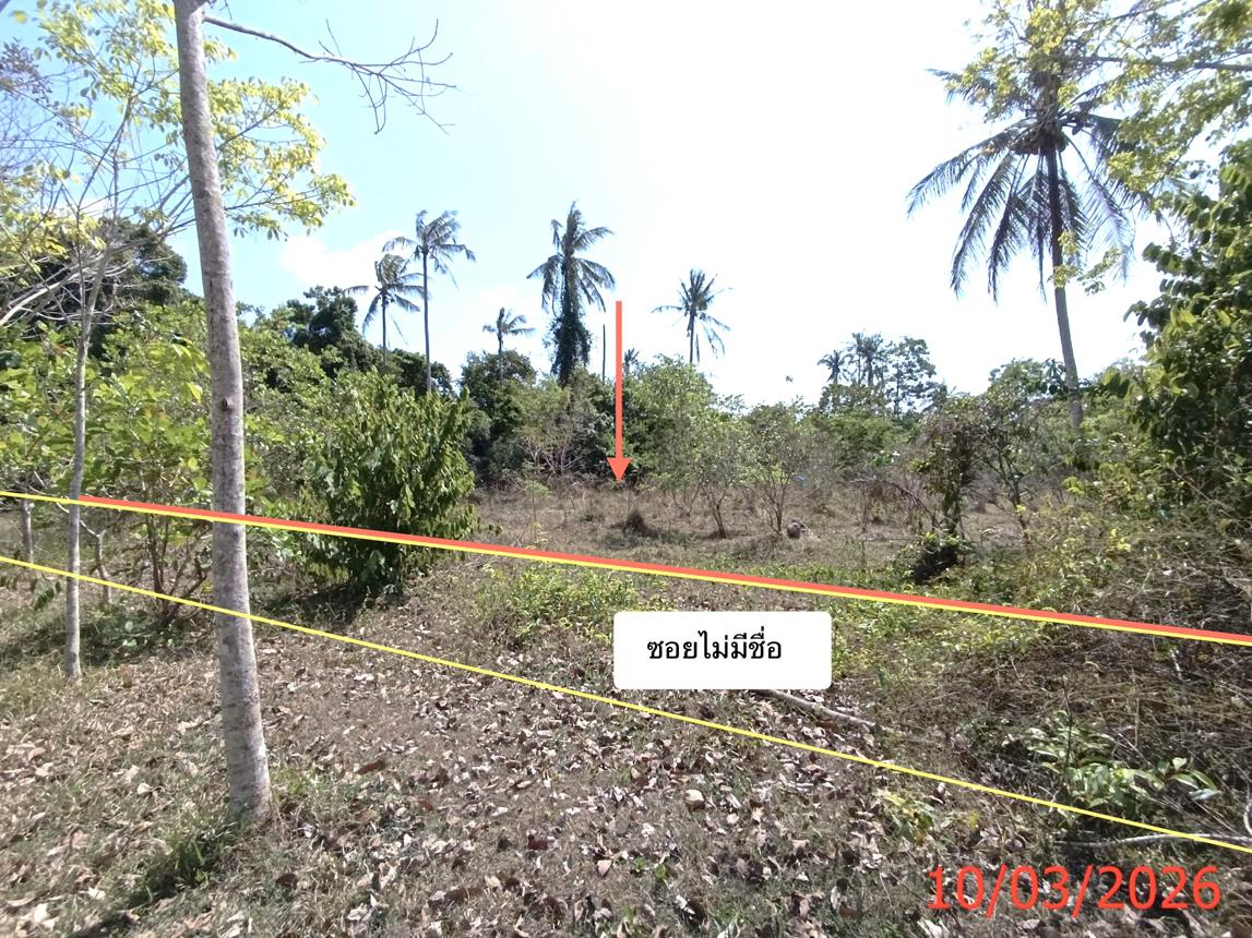 picture LAND 3554 Sq.w. Na Mom Songkhla for 4.6M - 11/22