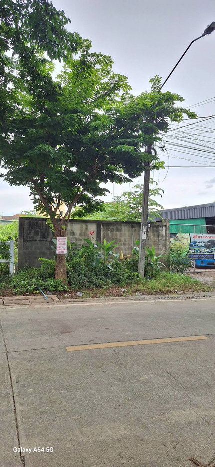 รูป 268AGPP💥 ขายต่ำกว่าราคาตลาด 📍 ทำเลดี ตลิ่งชัน | ใกล้ถนนกาญจนาภิเษกเพียง 100 เมตร - รูปที่ 1/5