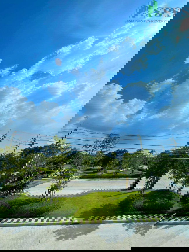 รูป ให้เช่า ทาวน์โฮม พลีโน่ สุขุมวิท – บางนา 3 (SPSSR156) - รูปที่ 12/12