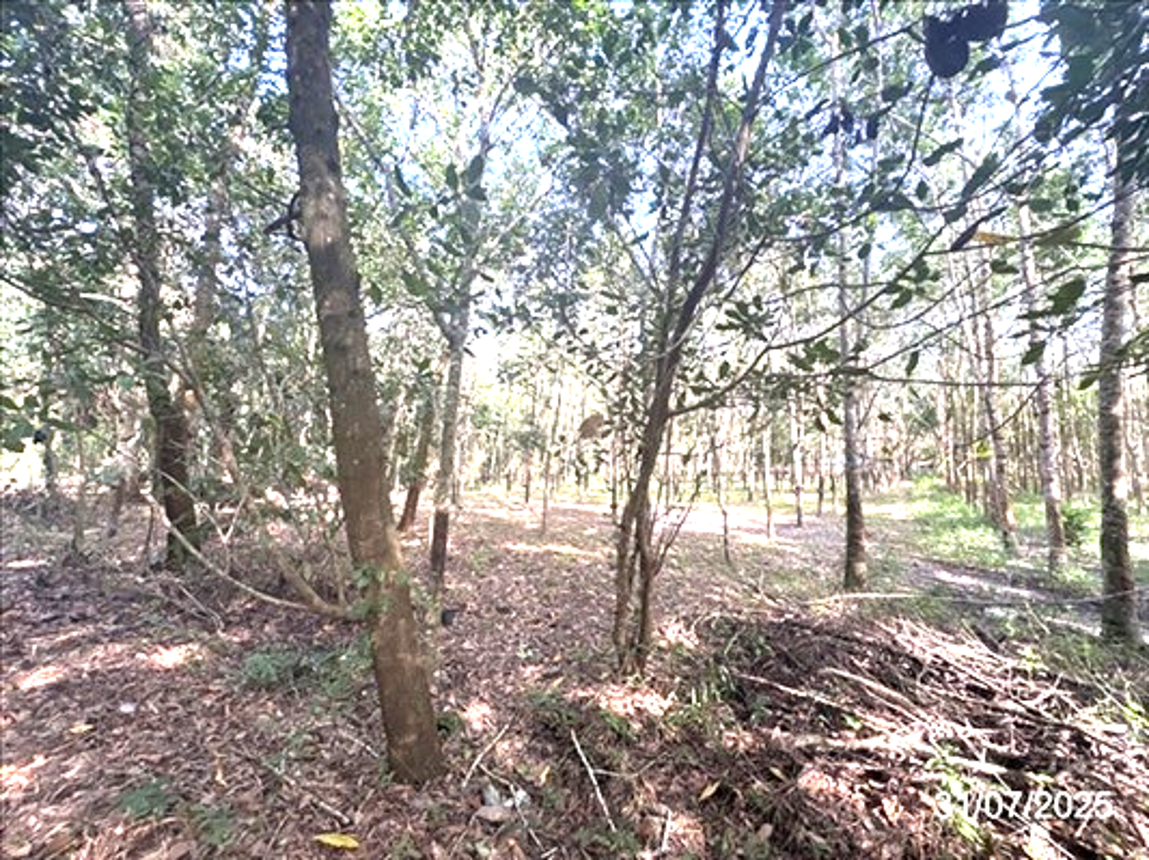 picture HOME 1504 Sq.w. Muang Trat Trat for 4.4M - 10/16