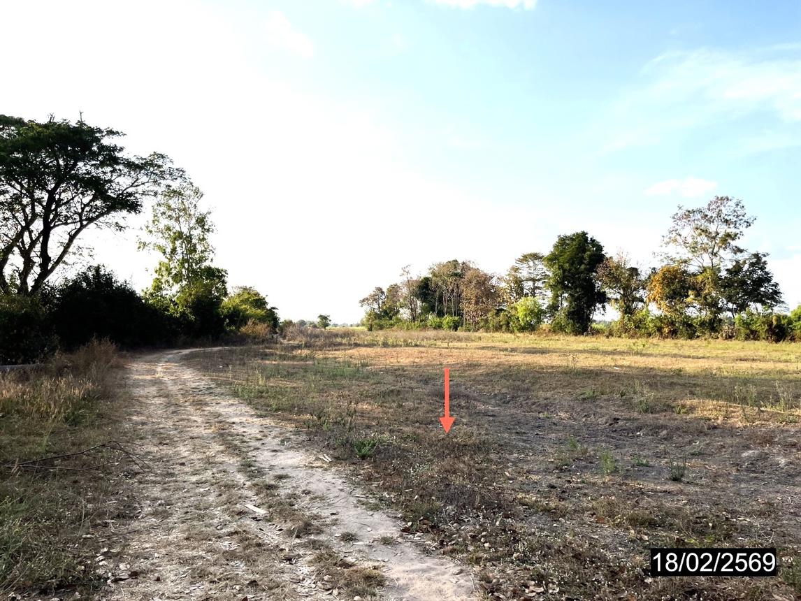รูป ที่ดินว่างเปล่า 6261 ตร.วา หนองกุงศรี กาฬสินธุ์ 5M - รูปที่ 14/22
