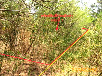 Land for sale Khlong Thom Krabi : LAND 663 Sq.w. Khlong Thom Krabi for 2.9M