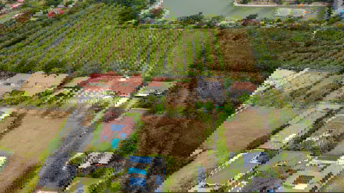 picture Land Karuehaad Tayard / 372.6 SQ.WA #LPKD045 - 13/20