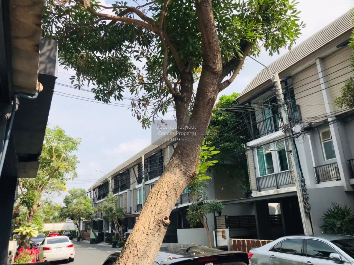 รูป เช่าทาวน์เฮ้าส์/ทาวน์โฮม  อารียา เดลี่ เกษตร-นวมินทร์ จรเข้บัว เขต ลาดพร้าว กรุงเทพ CX-150088 ✅ ทักไลน์ @connexproperty ตอบทันที ทีมงานมืออาชีพ ✅ - รูปที่ 9/12