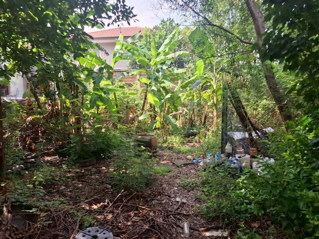 รูป ที่ดินเปล่าทำเลดี รังสิต-นครนายก ใกล้ฟิวเจอร์รังสิตและดรีมเวิลด์ ขนาด 148 ตร.วา เหมาะสร้างบ้านหรือเก็บลงทุนในอนาคต | รหัส 93352 - รูปที่ 9/9