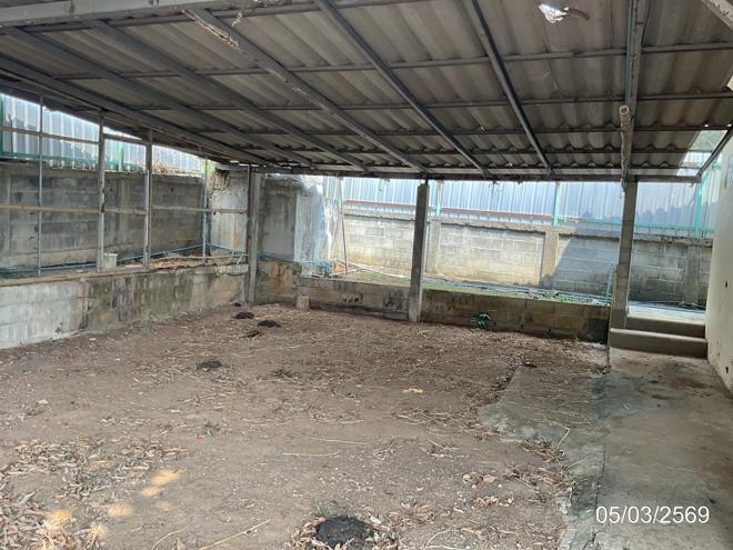 รูป บ้านเดี่ยว 136 ตร.วา แม่สรวย เชียงราย 1.7M - รูปที่ 11/30