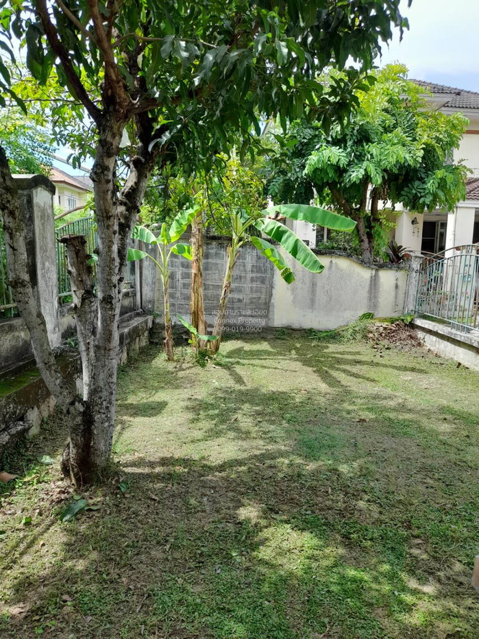 รูป ขายบ้าน  ลัดดารมย์ ปิ่นเกล้า รีโนเวทใหม่ บางคูเวียง บางกรวย นนทบุรี CX-150505 ✅ ทักไลน์ @connexproperty ตอบทันที ทีมงานมืออาชีพ ✅ - รูปที่ 5/12