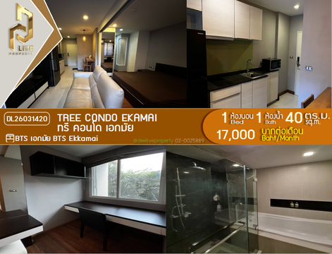 DL26031420 Condo for rent, Tree Condo Ekamai near BTS Ekkamai, ready to move in, call urgently 0638692663 LineID @523dslwi