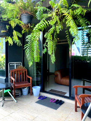 คอนโดให้เช่า : 🚩 ให้เช่าคอนโด เอ็ม สีลม อาคาร 1 ชั้น 8 2 ห้องนอน ขนาด 150 ตรม ใกล้ สยามพารากอน