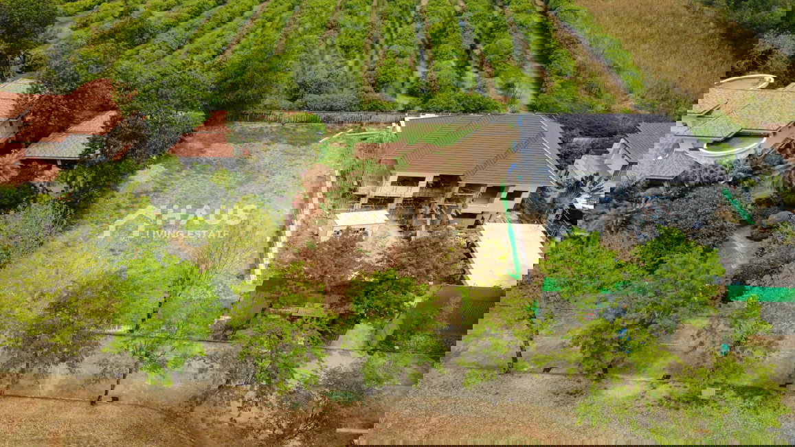 picture Land Karuehaad Tayard / 372.6 SQ.WA #LPKD045 - 5/20