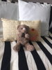 listing thumbnail image 3