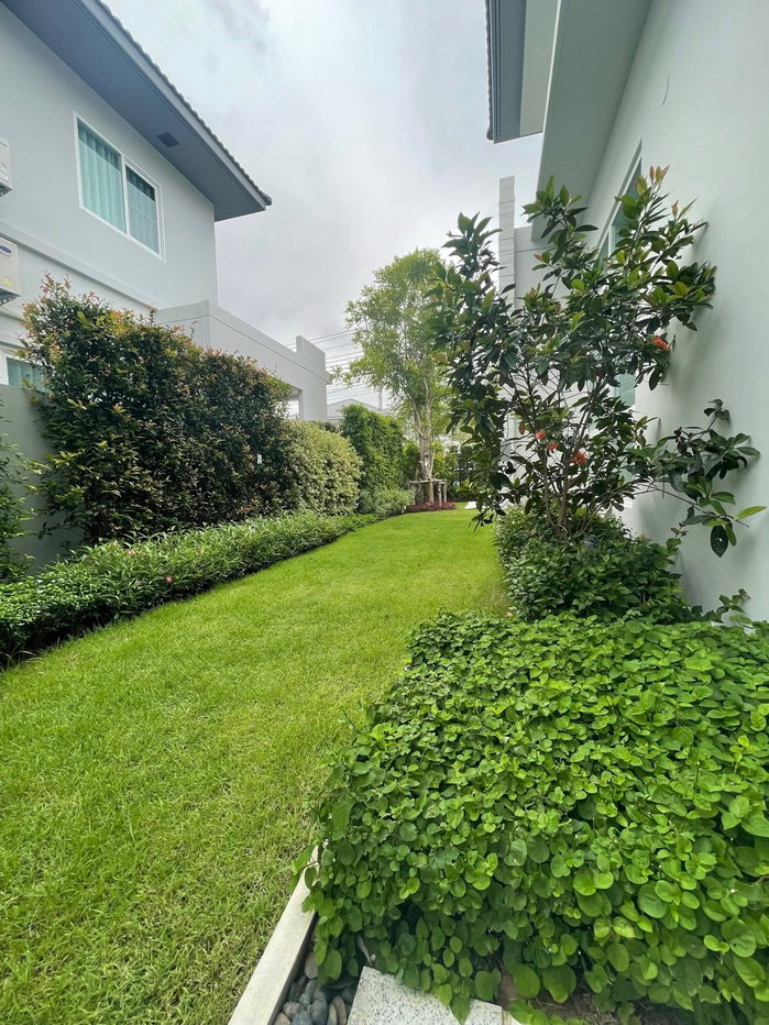 รูป ขาย ให้เช่า มัณฑนา บางนา-วงแหวน (ซอยราม 2) ที่ดิน 85.8 วา 4 นอน พร้อมสวน - รูปที่ 18/18