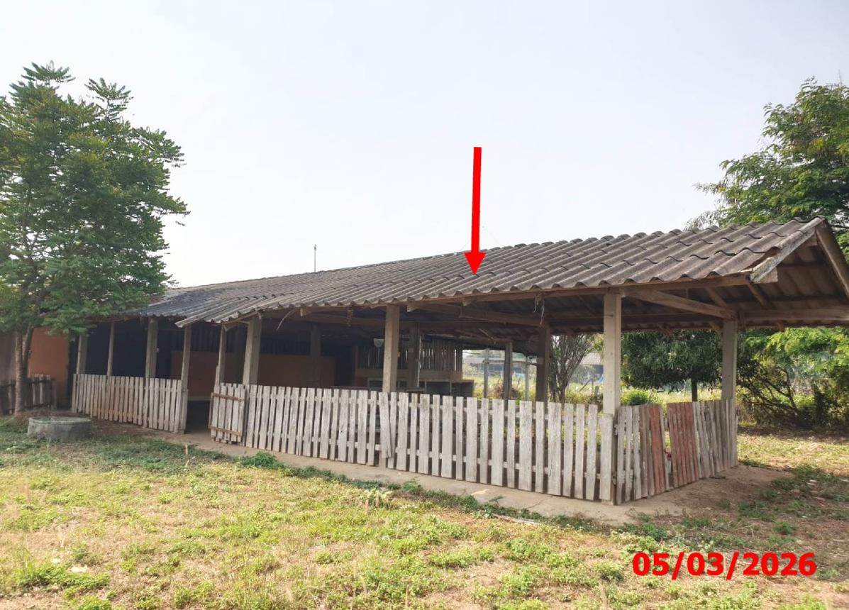 picture HOME 221 Sq.w. Mae Tha Lamphang for 1.9M - 23/32