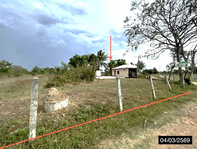 Houses for sale Muang Si Sa Ket Si Sa Ket : HOME 4709 Sq.w. Muang Si Sa Ket Si Sa Ket for 3.1M