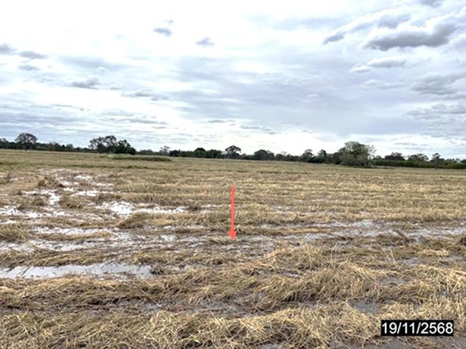 รูป ที่ดินว่างเปล่า 697 ตร.วา พยัคฆภูมิพิสัย มหาสารคาม 436,000 - รูปที่ 4/12