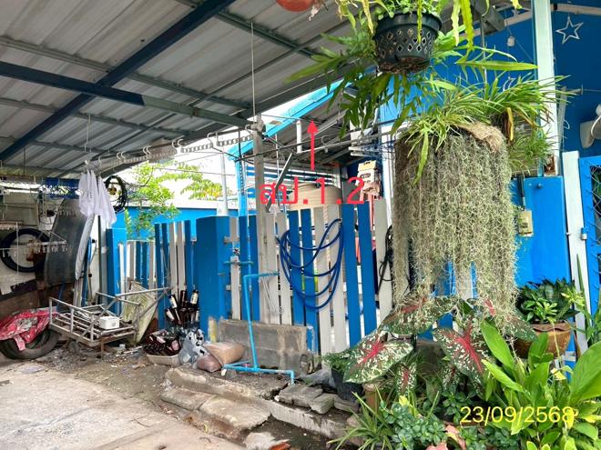 picture TOWN HOUSE 29.8 Sq.w. Khlong Luang Pathumthani for 1.7M - 2/14