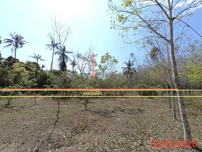picture LAND 3554 Sq.w. Na Mom Songkhla for 4.6M - 1/22