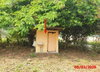 listing thumbnail image 12