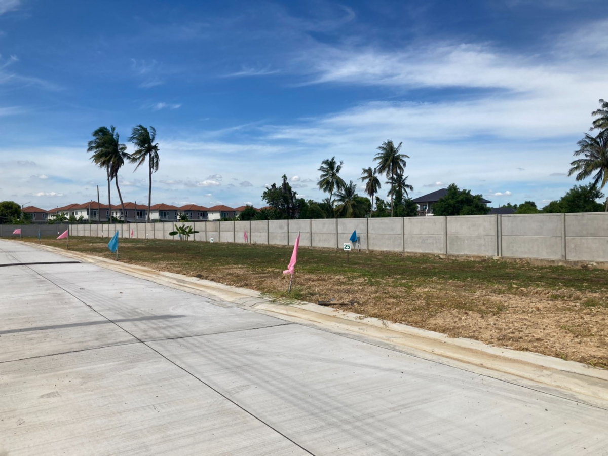 รูป เนเจอรัล วิลล์ ที่ดินจัดสรรเพื่อสร้างบ้านอยู่อาศัย - รูปที่ 4/4