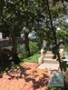 listing thumbnail image 14